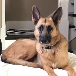 Meet your Posher, Candace